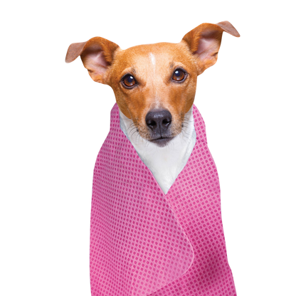 Toalla refrescante para perros y gatos