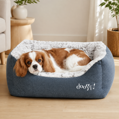Cama sofá mullida para perros y gatos