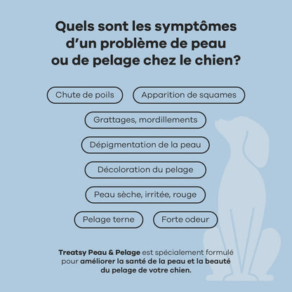 Complément alimentaire peau et pelage au poulet pour chiens