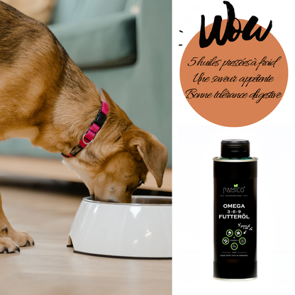 Omega-3-6-9-Speiseöl und Vitamin E für Hunde