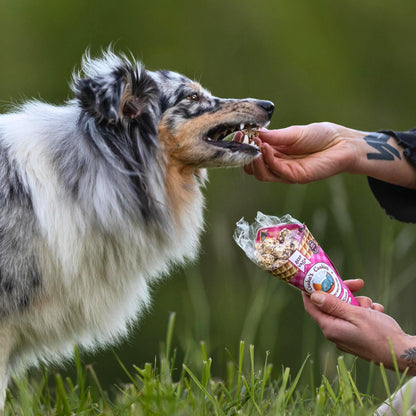 Cono de golosinas de ternera para perros
