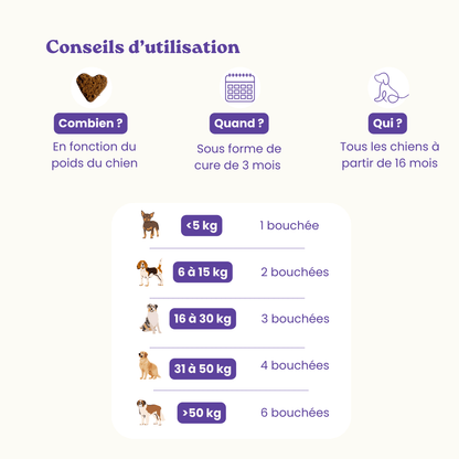 Complemento alimenticio antiestrés para perros