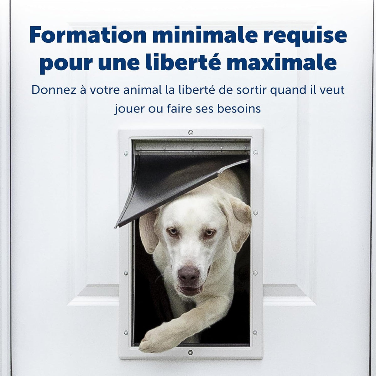 Porte de passage Staywell aluminium volet magnétique