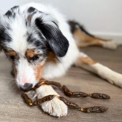 Salchichas de carne de res deshidratadas para perros