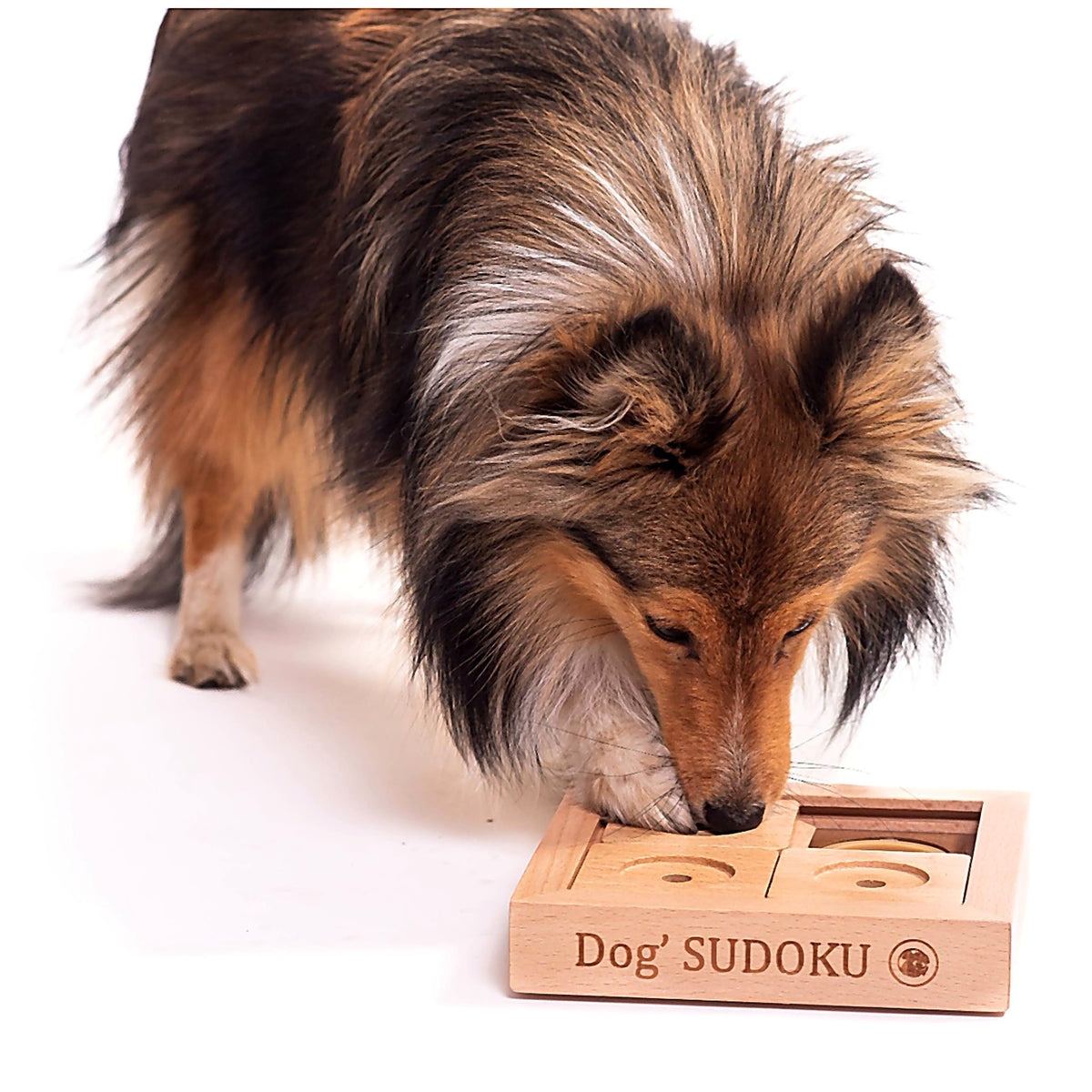 Juego de ingenio Sudoku de madera para principiantes para perros pequeños y gatos