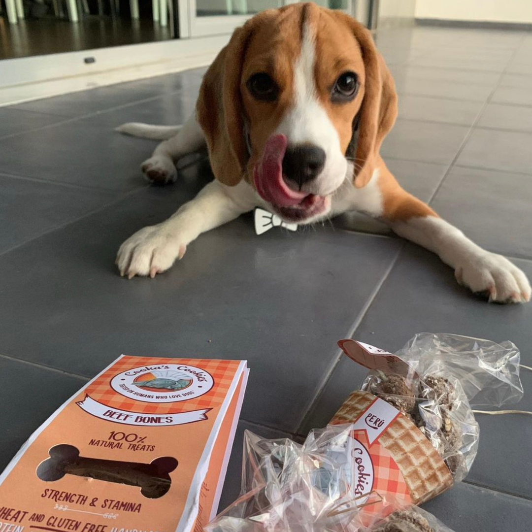 Cornet de friandises à la dinde pour chiens