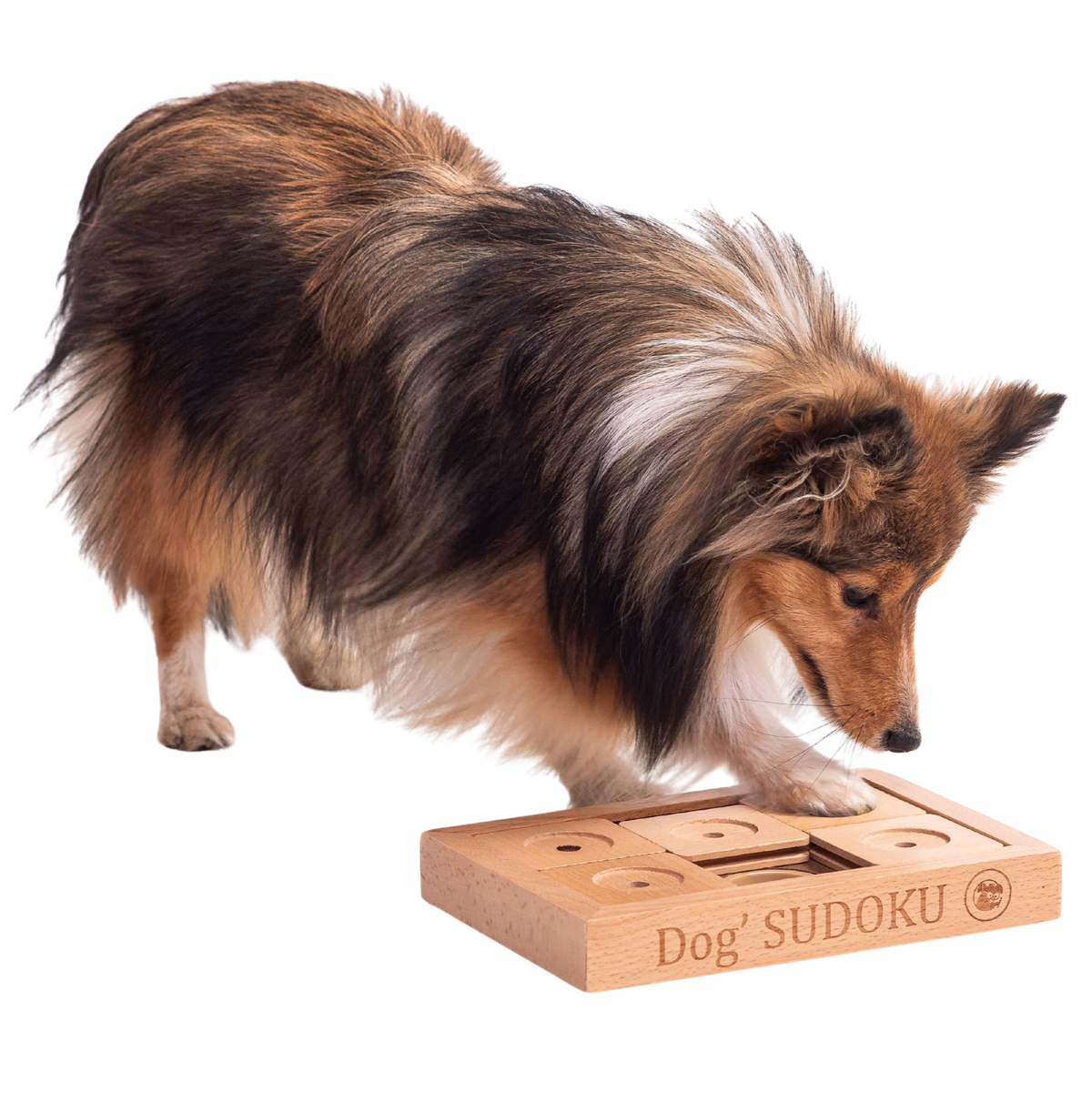 Juego de ingenio Sudoku avanzado de madera para perros pequeños y gatos