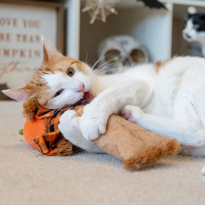Halloween-Vogelscheuchen-Spielzeug mit Katzenminze für Katzen