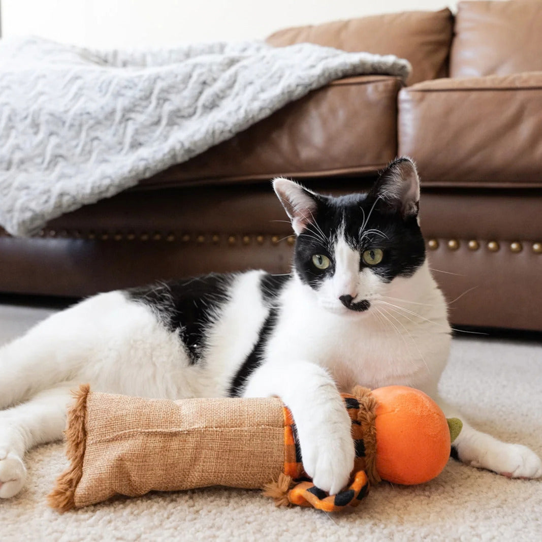 Juguete de espantapájaros de Halloween con hierba gatera para gatos
