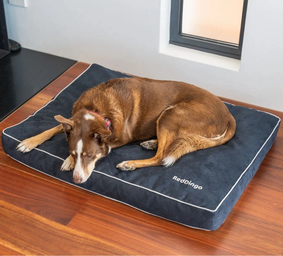 Matelas moelleux et déhoussable pour chiens