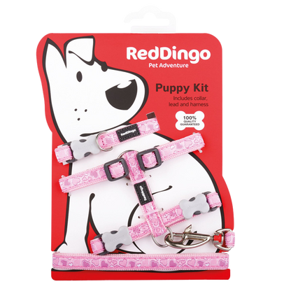 Kit de collar, arnés y correa Breezy Love para cachorros