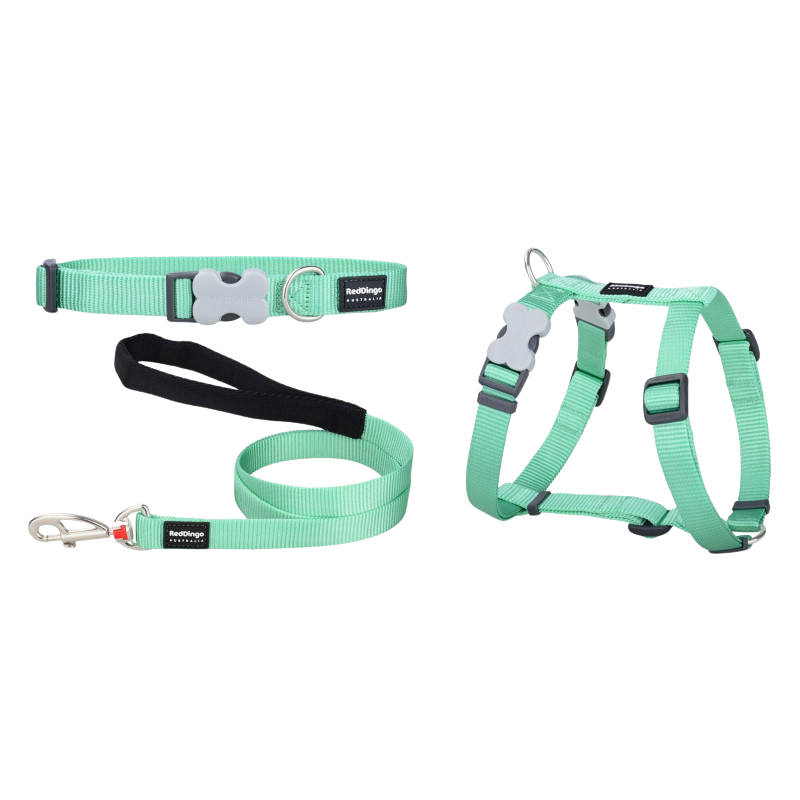 Kit de collar, arnés y correa verde pastel para cachorros