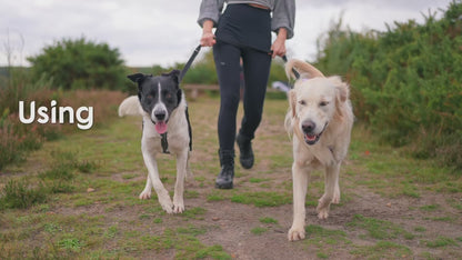 Laisse éducative multiposition de 2 m pour chiens
