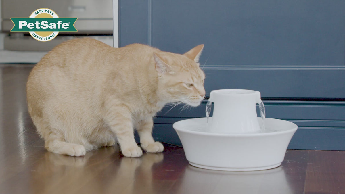 Drinkwell® Avalon Keramik-Trinkbrunnen 2 l für Hunde und Katzen