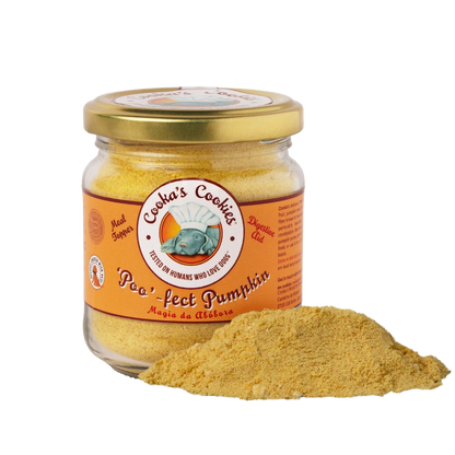 Topper de calabaza para perros y gatos