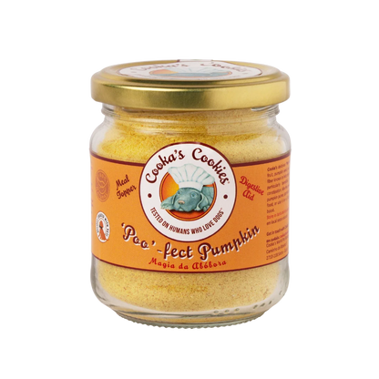 Topper de calabaza para perros y gatos