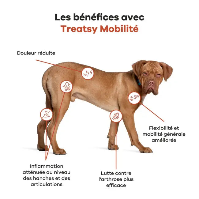 Aceite nutritivo para caderas y articulaciones de perros y gatos