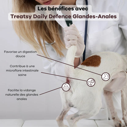 Complément alimentaire pour les glandes anales des chiens